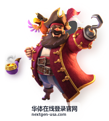 华体在线登录官网账号登录流程示意图